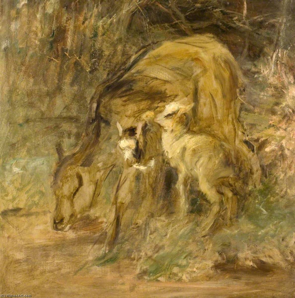 Goat And Kids — Robert L Alexander