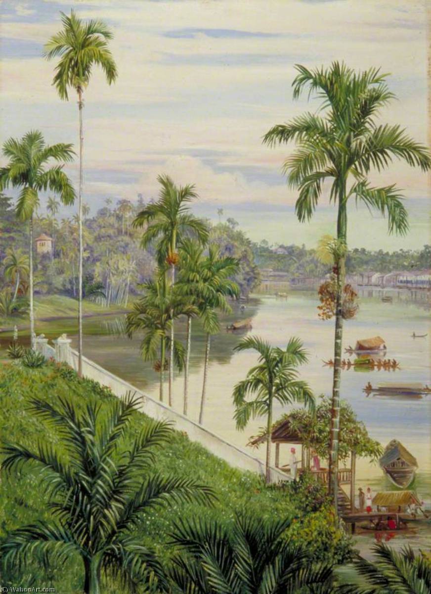 Blick Den Fluss Hinunter In Sarawak, Borneo — Marianne North