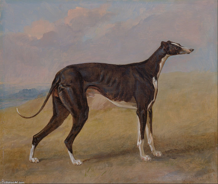 Turk, A Greyhound, The Property Of George Lane Fox — George Garrard