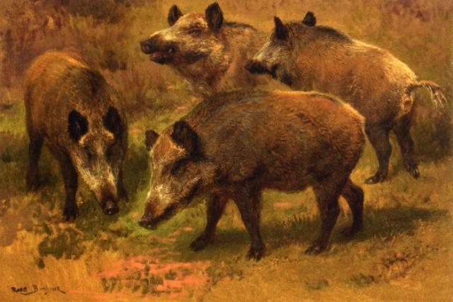 Four Boars In A Landscape — Rosa Bonheur