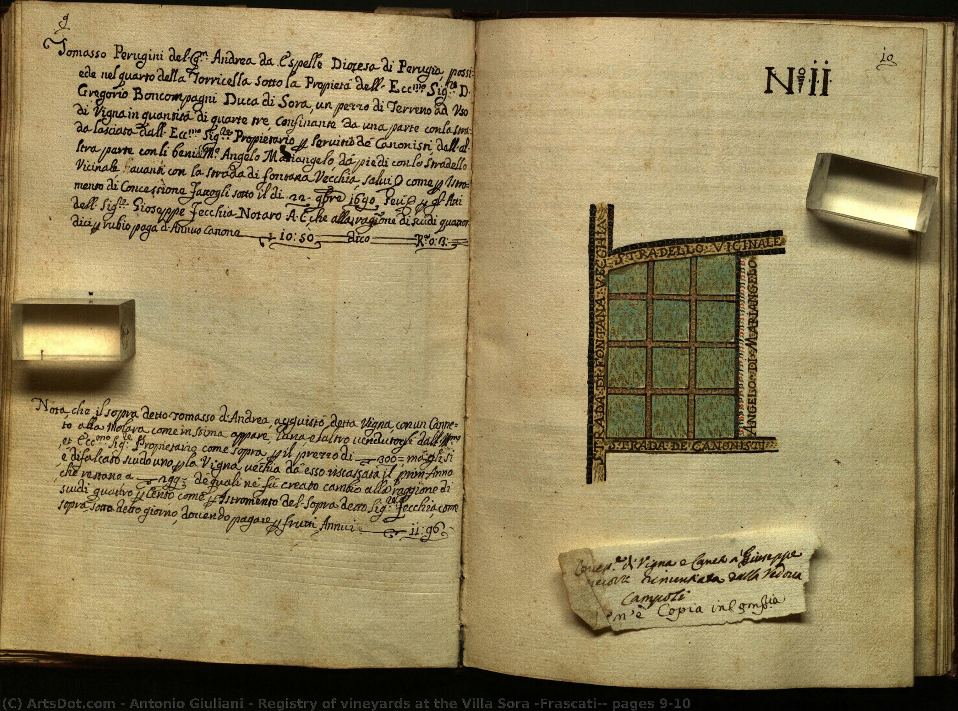 Registry Of Vineyards At The Villa Sora (frascati): Pages 9-10 — Antonio Giuliani