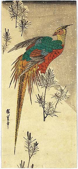 Pheasant Among Young Pine On A Hill In Snow — Ando Hiroshige