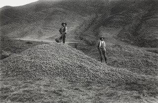 Venacio Arce And Campesino With Potato Harvest, Near Katka, Quispicanchi — Martín Chambi