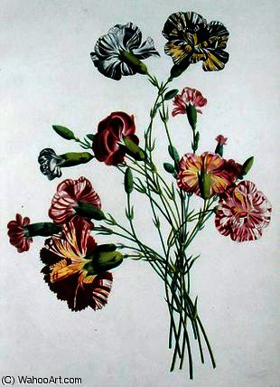 Bouquet Of Carnations — Jean Louis Prevost