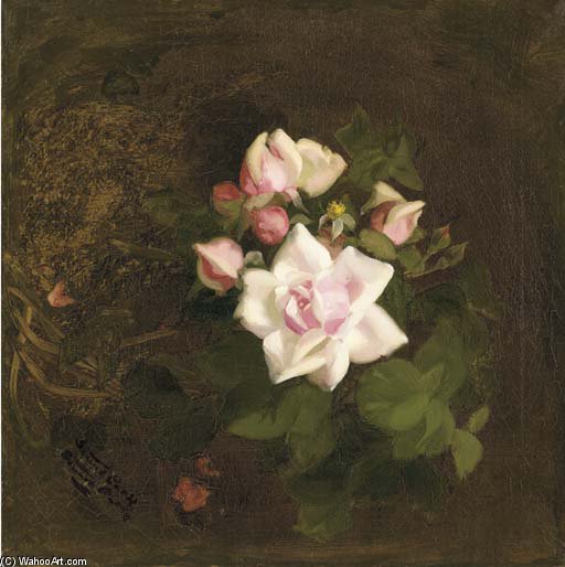 Pink Roses - — James Stuart Park