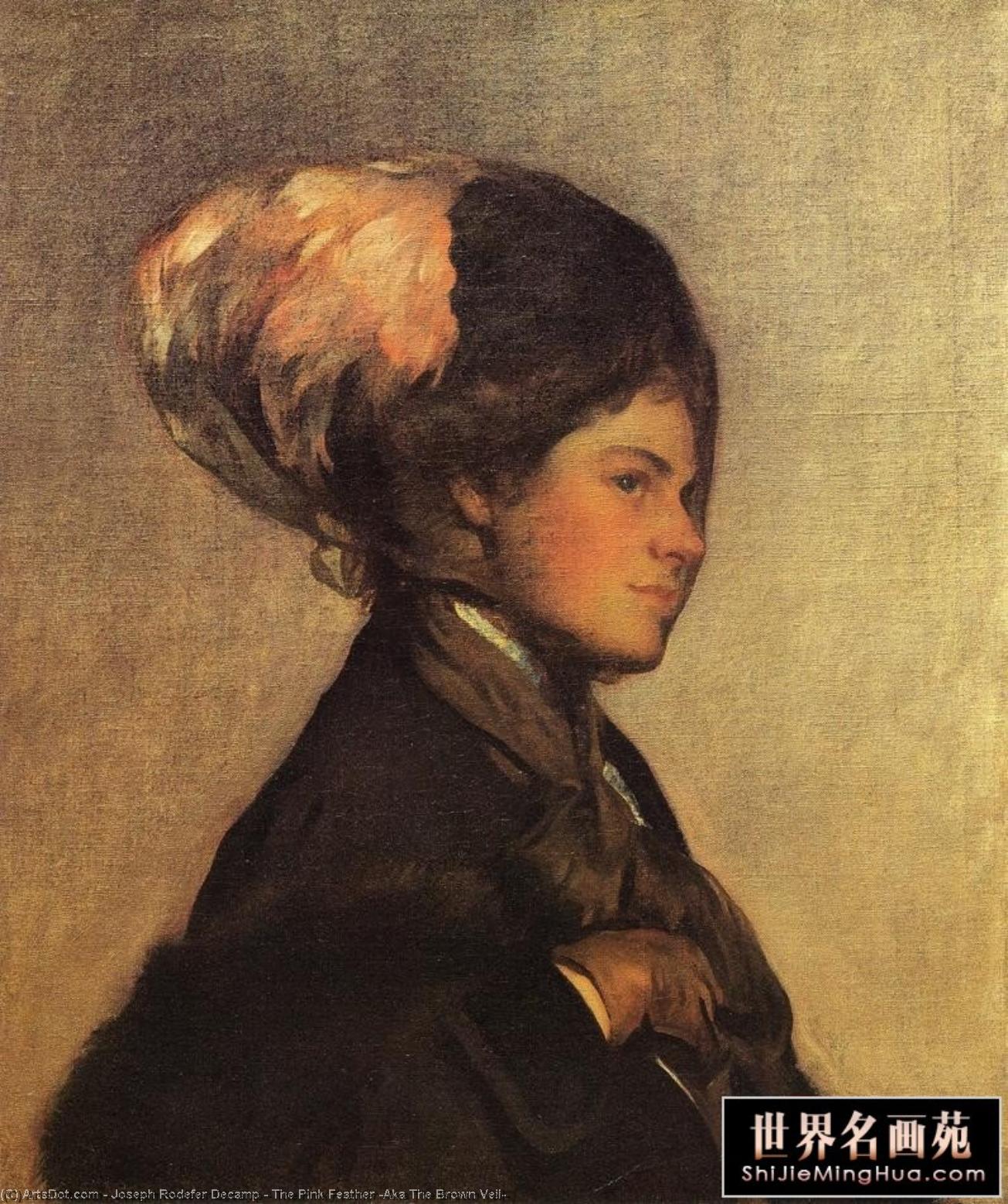 The Pink Feather (aka The Brown Veil) — Joseph Rodefer Decamp
