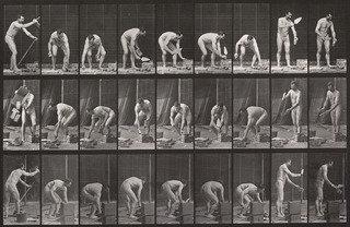 Bricklaying Plate 505 From Animal Locomotion (1887) — Eadweard J Muybridge
