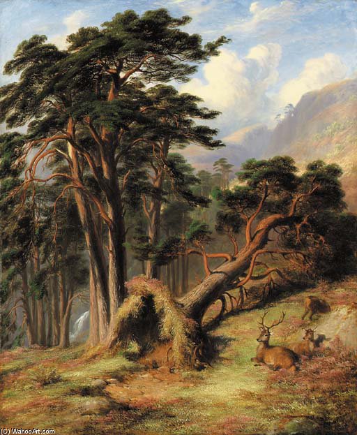 Study In Glen Quoich, Mar Forest - After A Gale — James William Giles