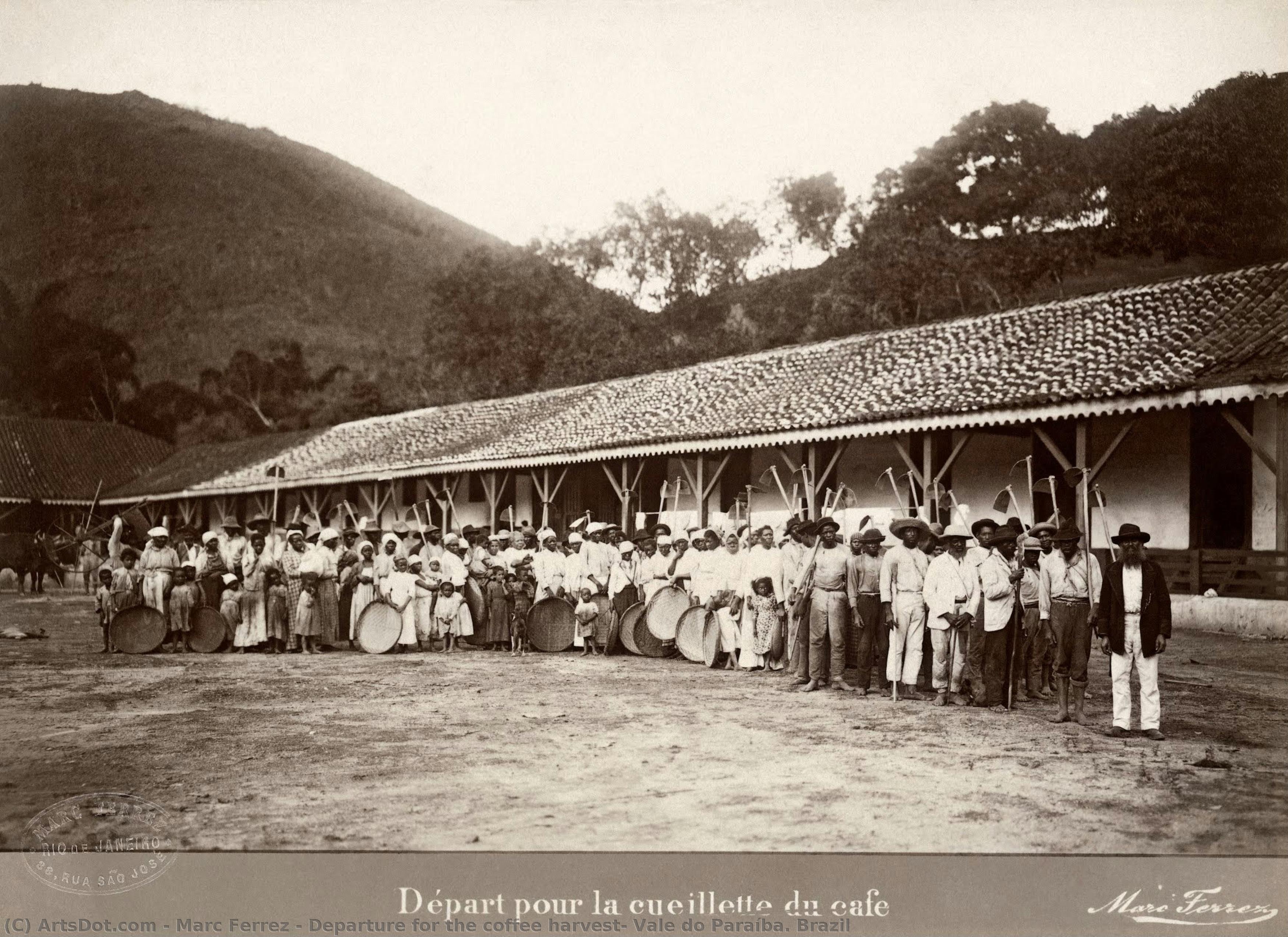 Departure For The Coffee Harvest, Vale Do Paraíba. Brazil — Mark Ferz