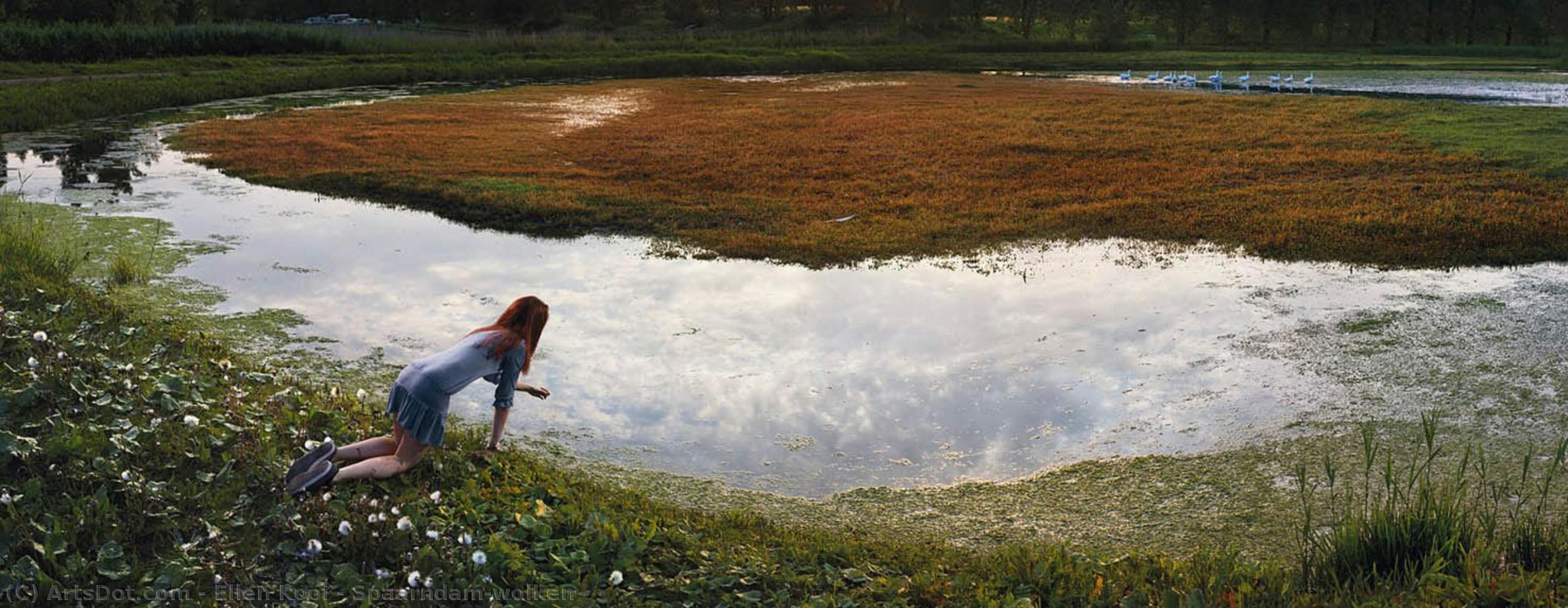 Spaarndam-wolken — Ellen Kooi
