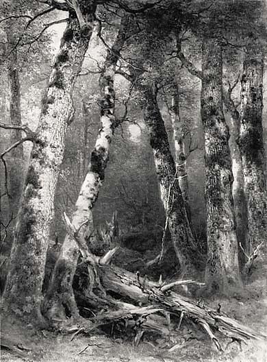 Group Of Trees, (painting) — Asher Brown Durand