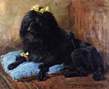 A Black Standard Poodle On A Blue Cushion — John Emms