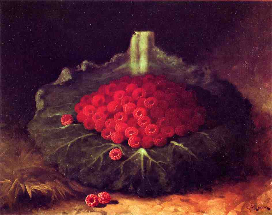 Raspberries — Carducius Plantagenet Ream
