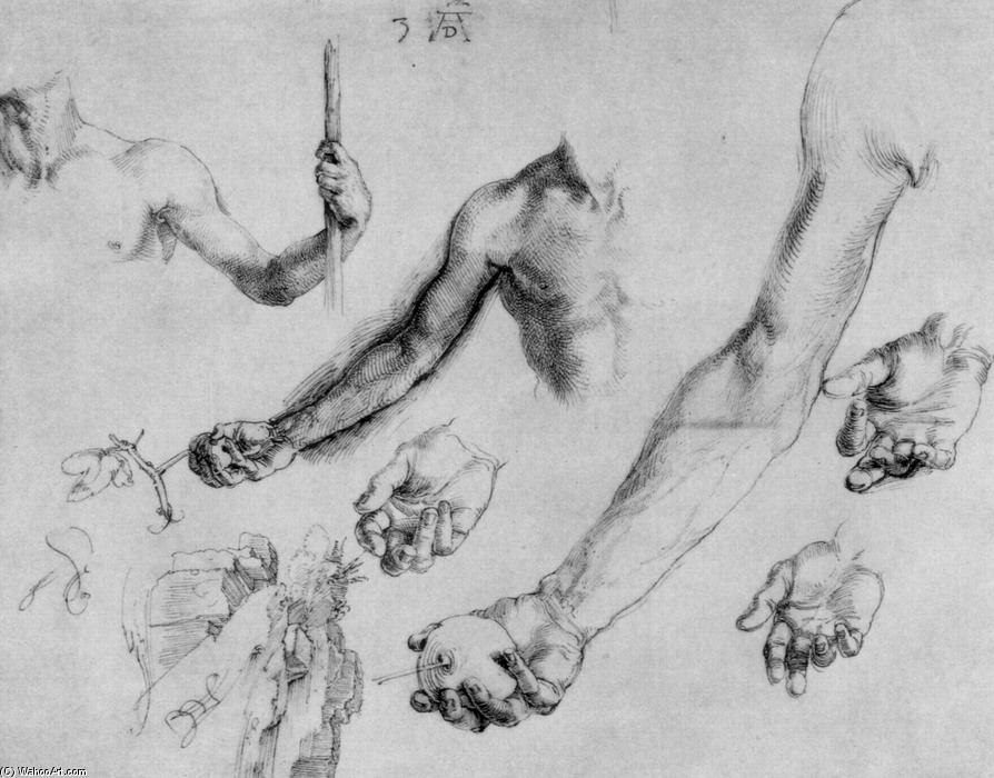 Study Of Male Hands And Arms — Albrecht Dürer