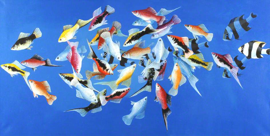 Tropical Fish 3 — Celia Wilkinson