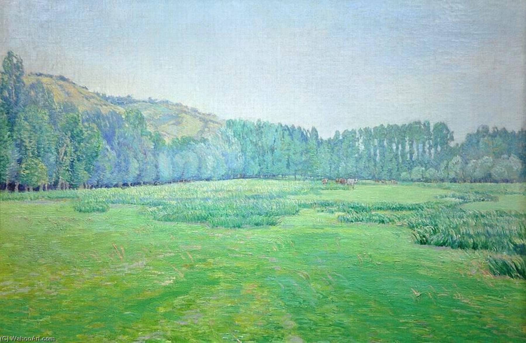 Meadow — Vaclav Radimsky