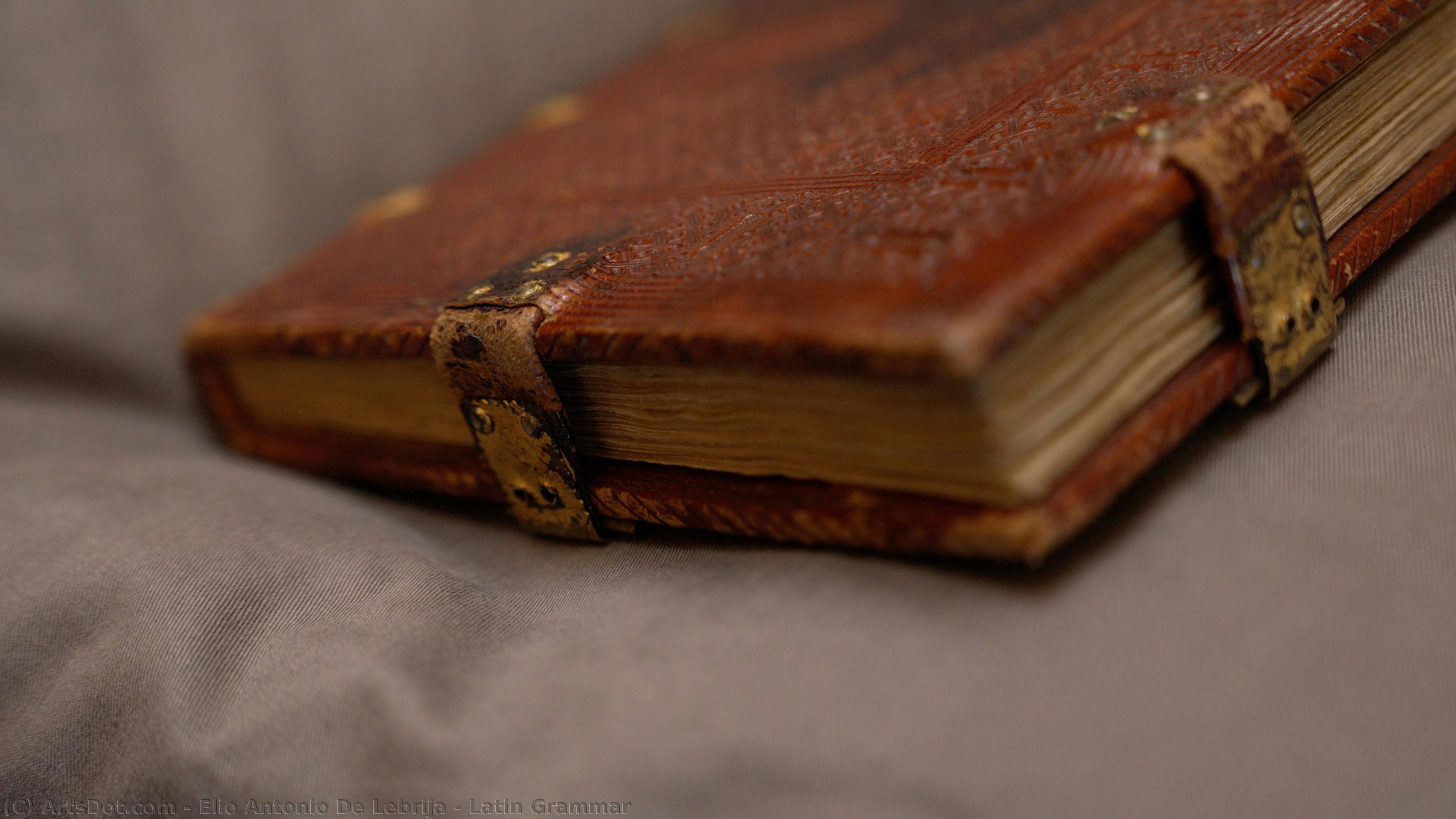 Latin Grammar — Elio Antonio De Lebrija