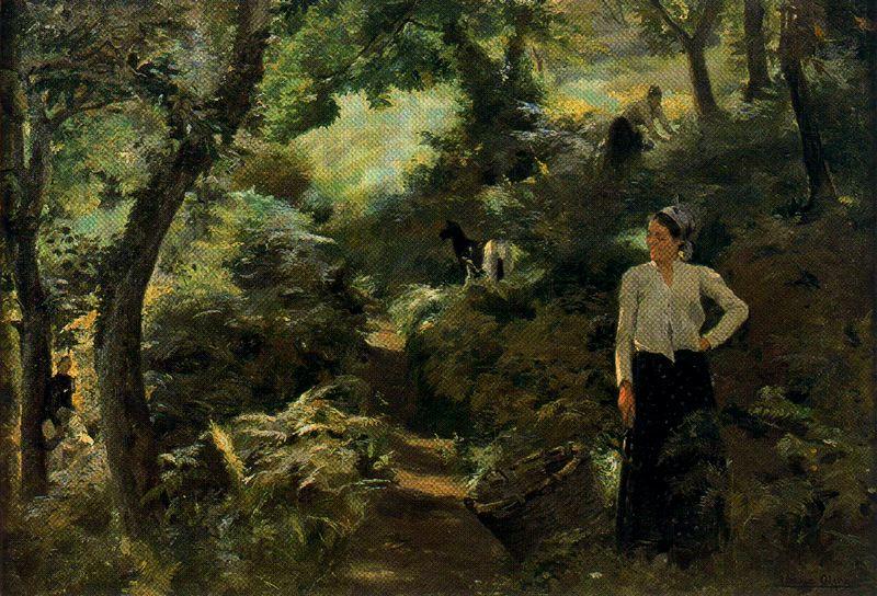 The Cutting Of Ferns — Ignacio Díaz Olano