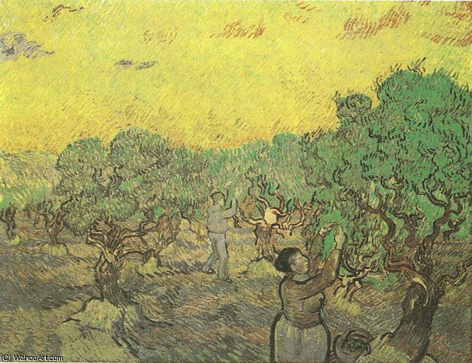 La Recolte Des Olives — Vincent Willem Van Gogh