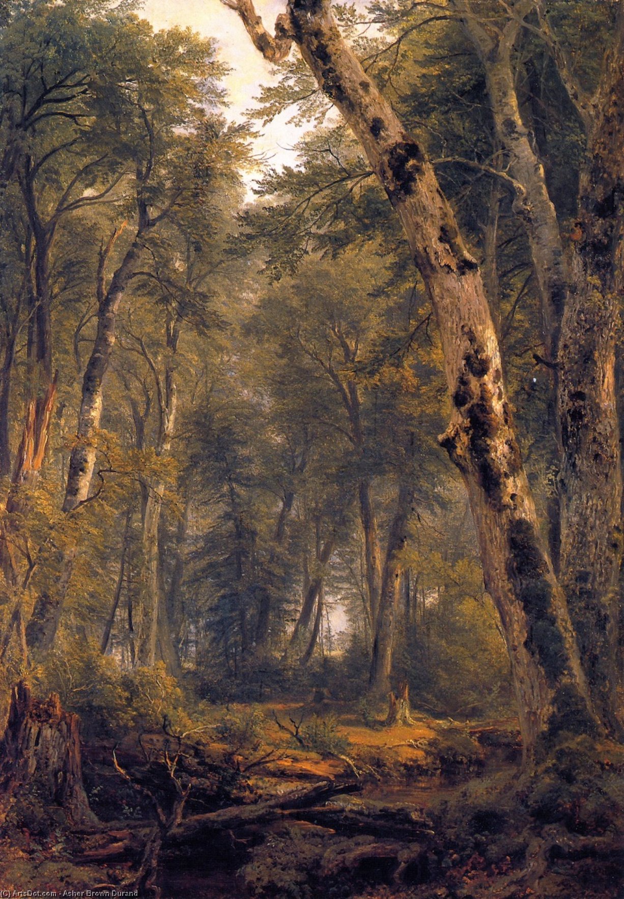 Woodland Scene — Ашер Браун Дюран