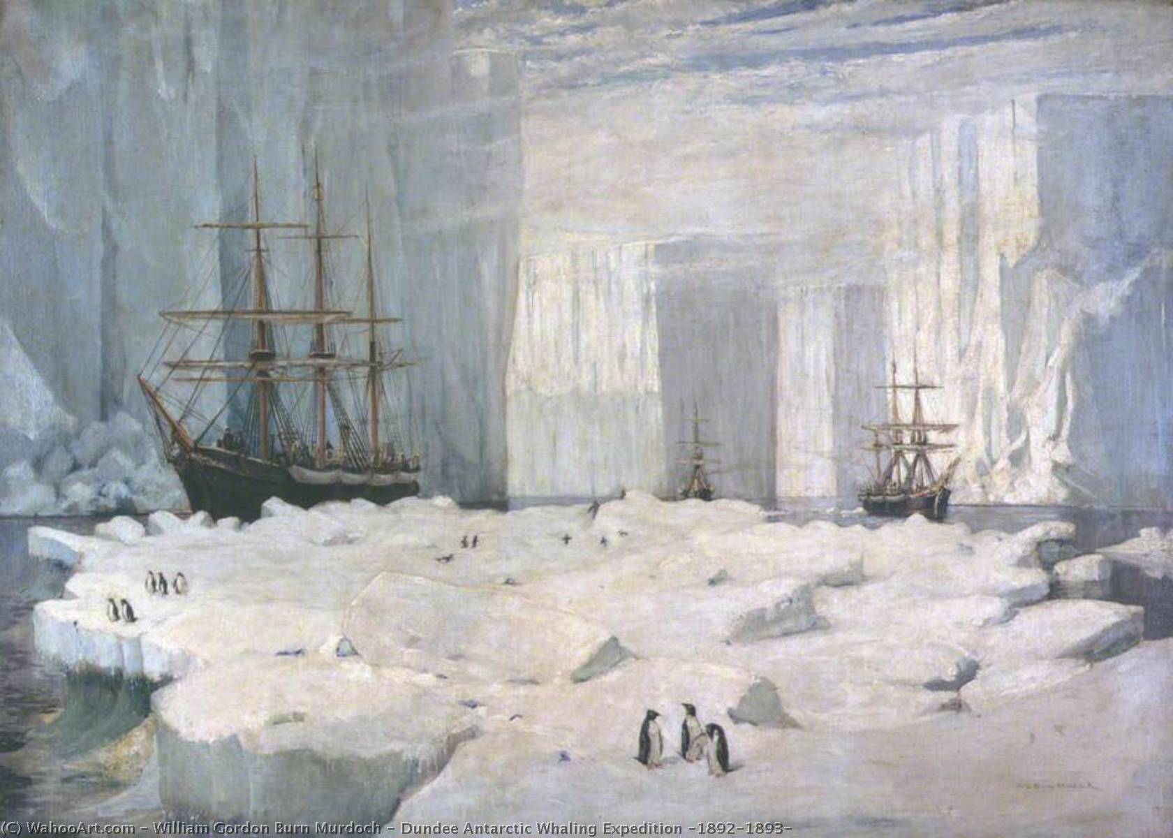 Dundee Antarctic Whaling Expedition (1892–1893) — William Gordon Burn Murdoch