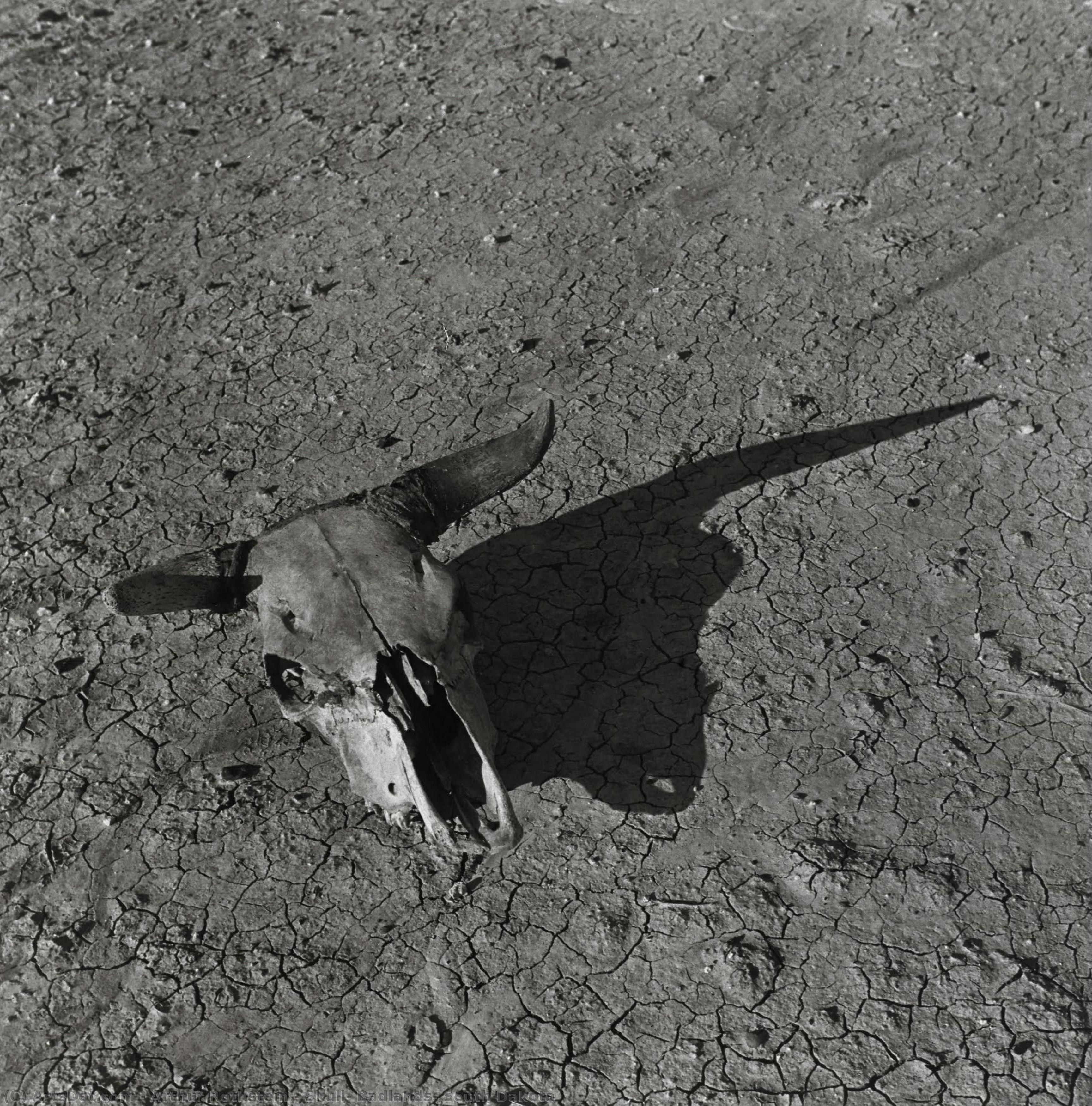 Skull, Badlands, South Dakota — Arthur Rothstein
