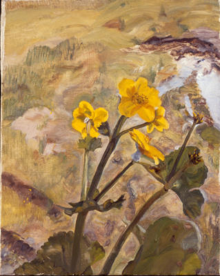 Kingcups Souvenir Of Glen Artney — Lucian Freud