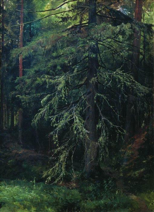 Fir — Ivan Ivanovich Shishkin