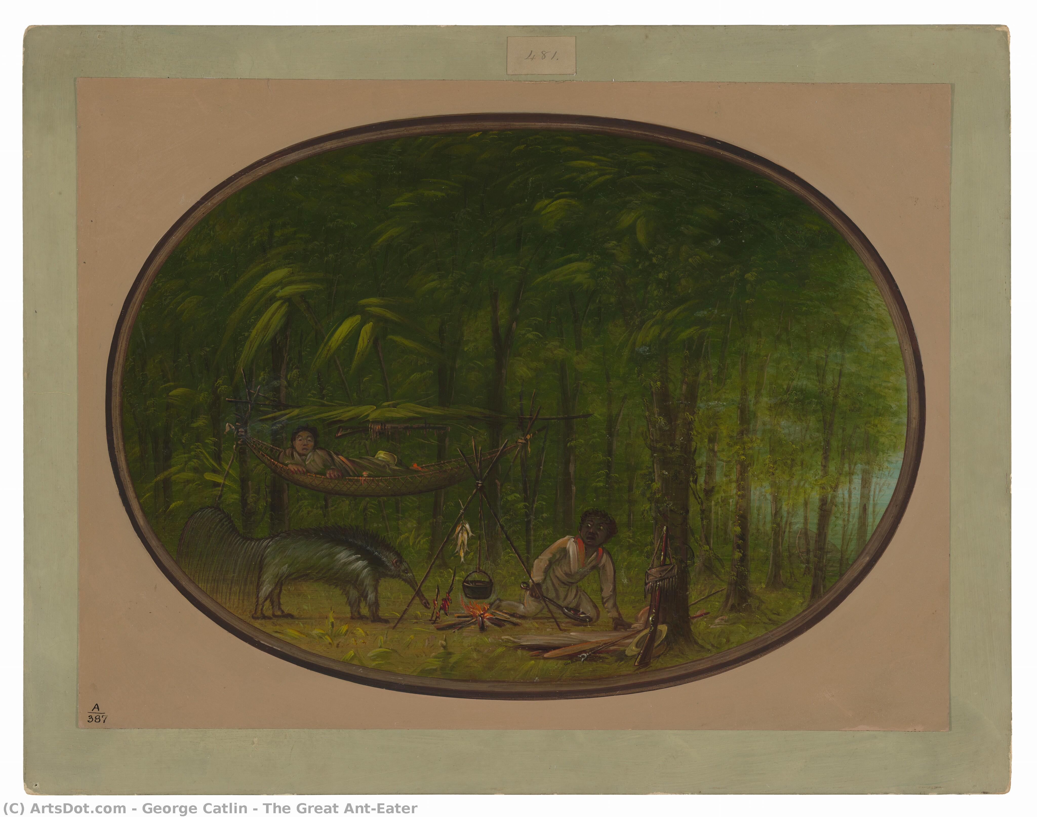 The Great Ant-eater — George Catlin