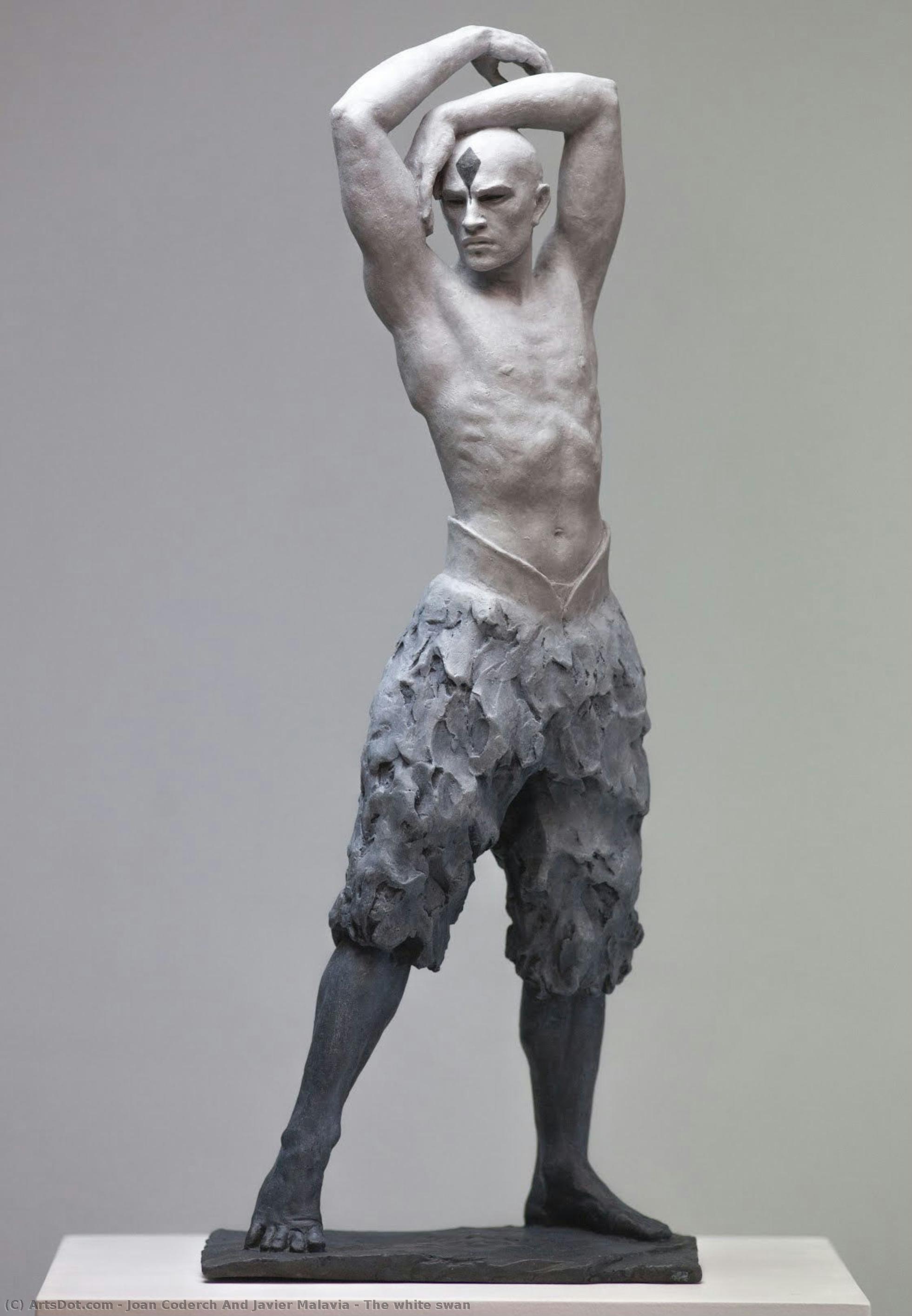 The White Swan — Joan Coderch And Javier Malavia