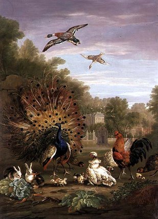 Peacock And Rabbits In A Landscape — Pieter Casteels