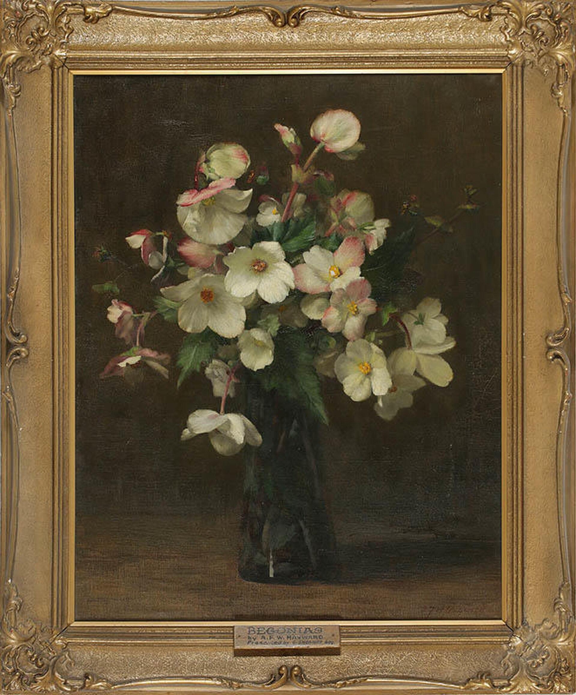 Begonias — Frederick William Newton Whitehead