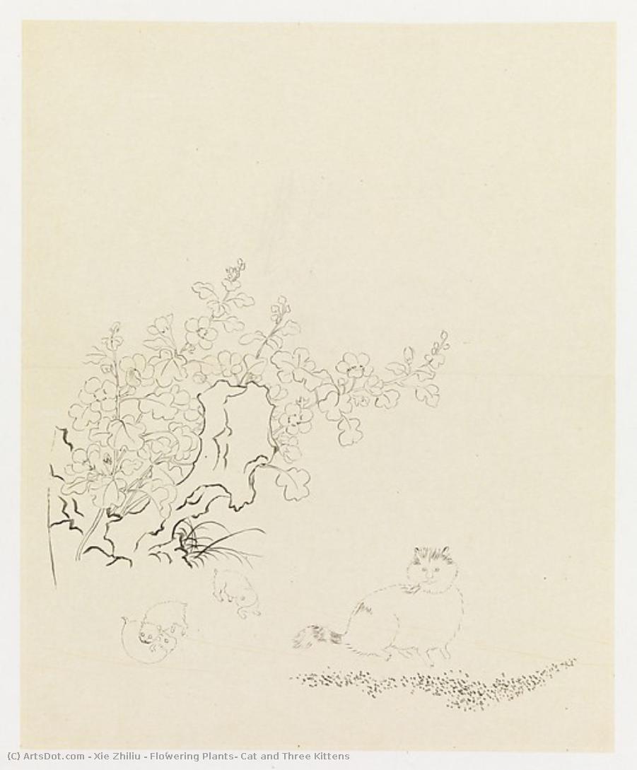 Flowering Plants, Cat And Three Kittens — Xie Zhiliu