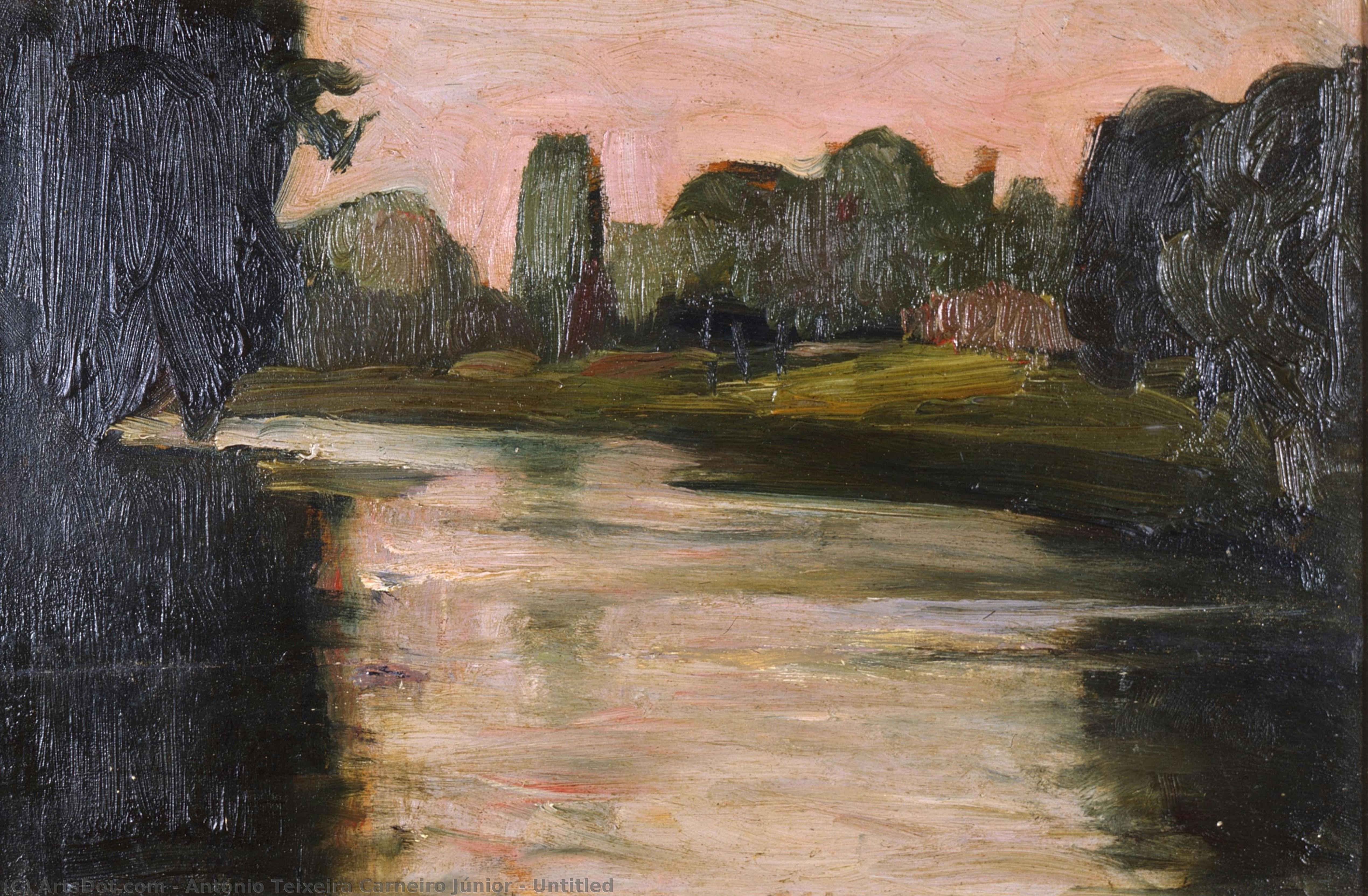 Untitled — António Teixeira Carneiro Júnior