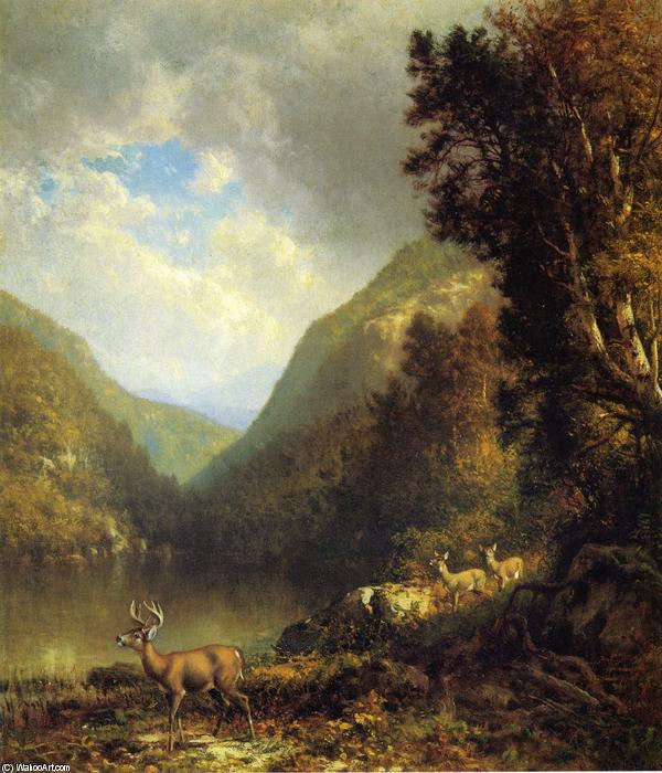 Deer In The Adirondacks — William Hart