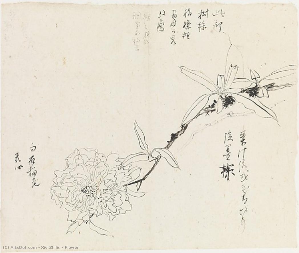 Flower — Xie Zhiliu