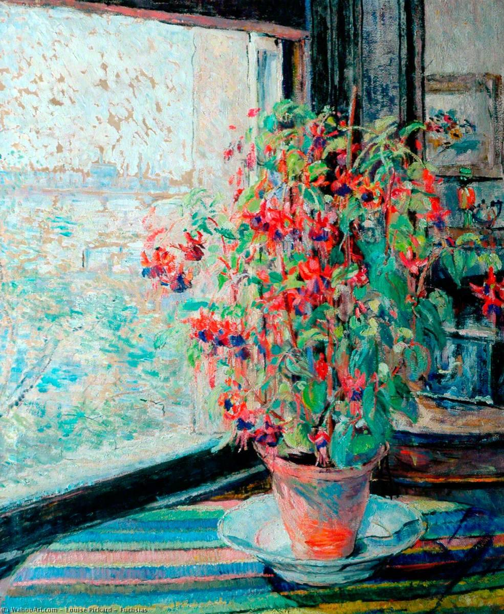 Fuchsias — Louise Pickard