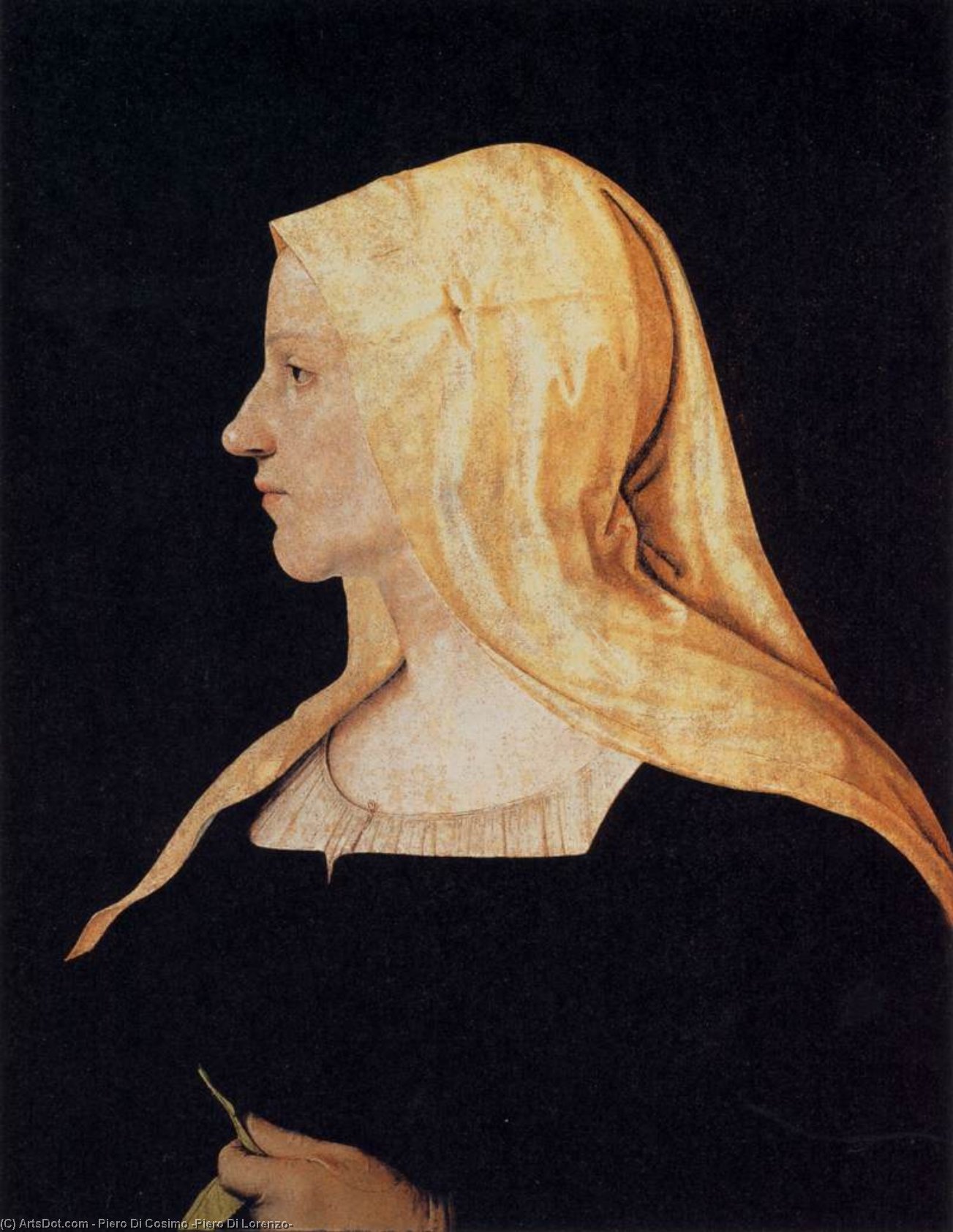 Portrait Of A Woman — Piero Di Cosimo (piero Di Lorenzo)