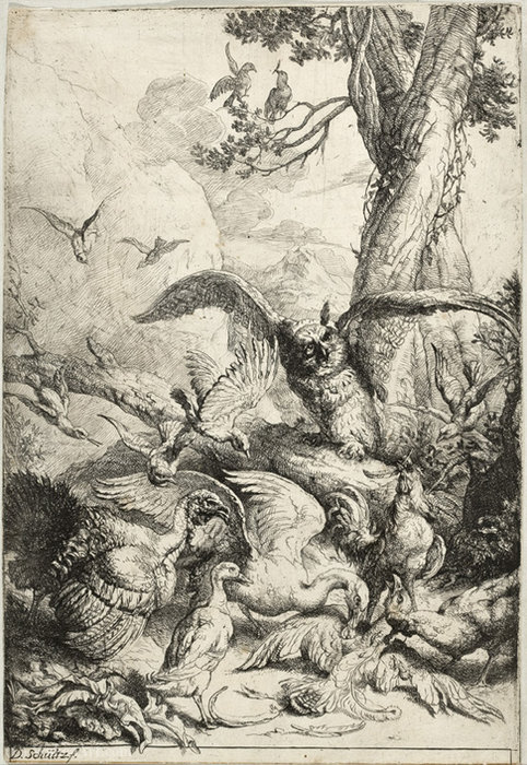 Fable Of The Peacock — Daniel Ii Schultz