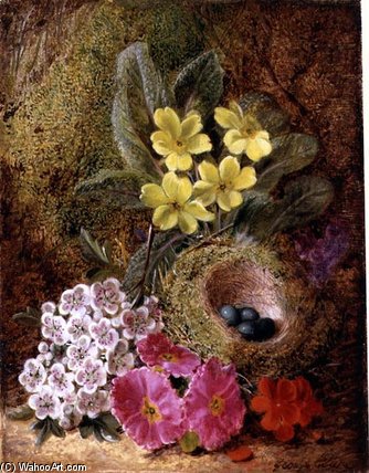 Still Life With Bird's Nest And Primulas — George Clare
