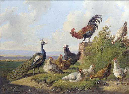 A Peacock And Poultry In A Sunny Meadow — Albertus Verhoesen