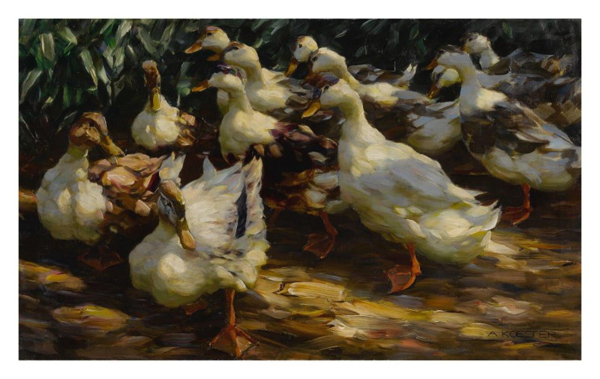 Ducks In Sunlight — Marius Alexander Jacques Bauer