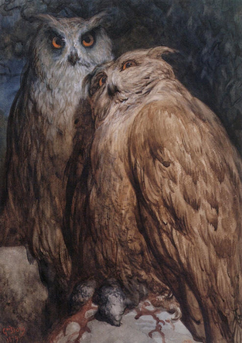Two Owls — Доре, Гюстав