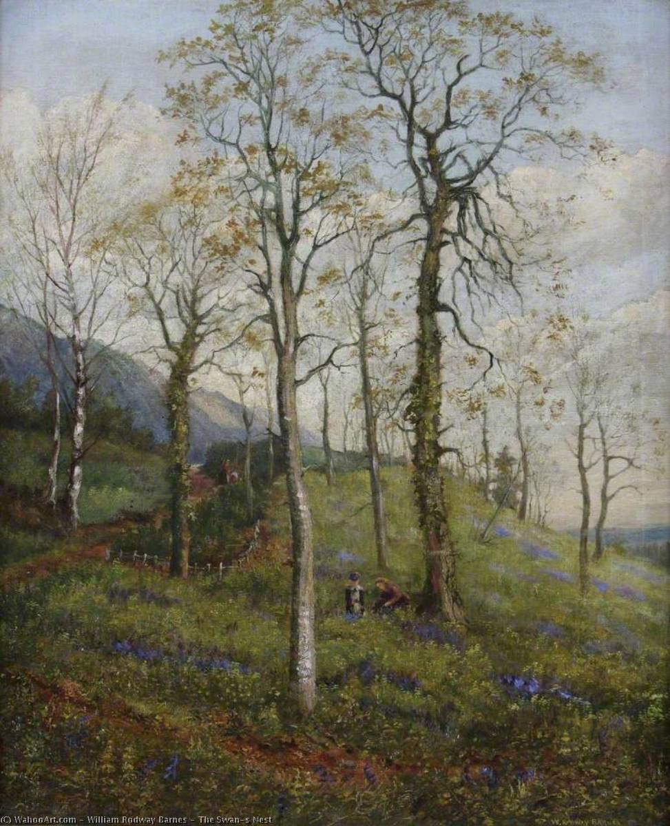 The Swan's Nest — William Rodway Barnes