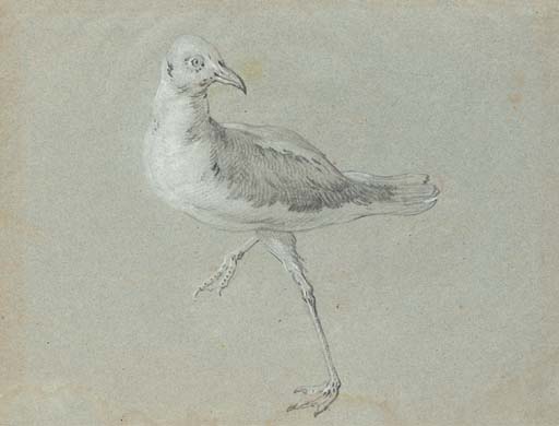 Seagull Walking To The Left Facing Right — Jean-baptiste Oudry