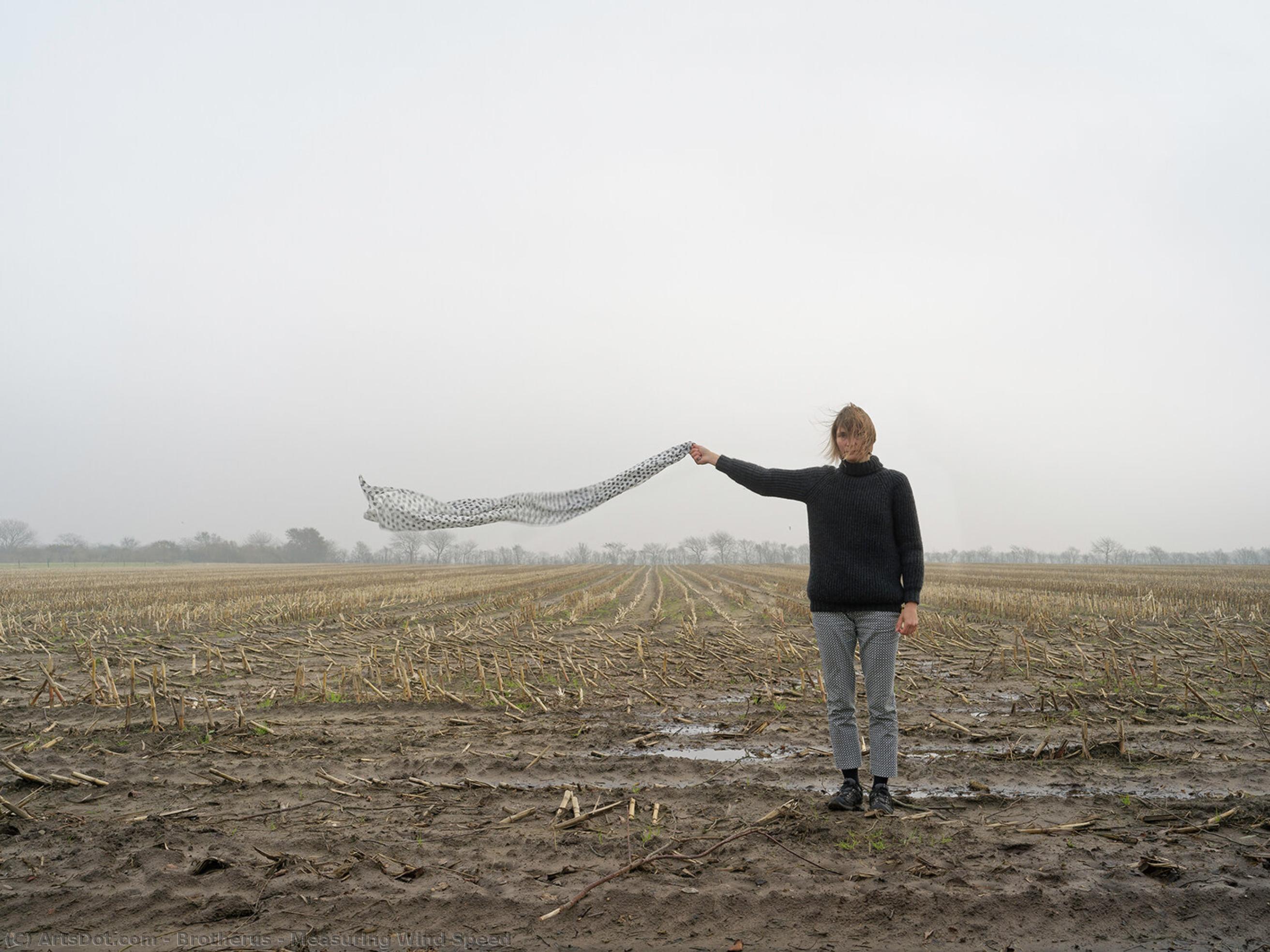 Measuring Wind Speed — Elina Brotherus