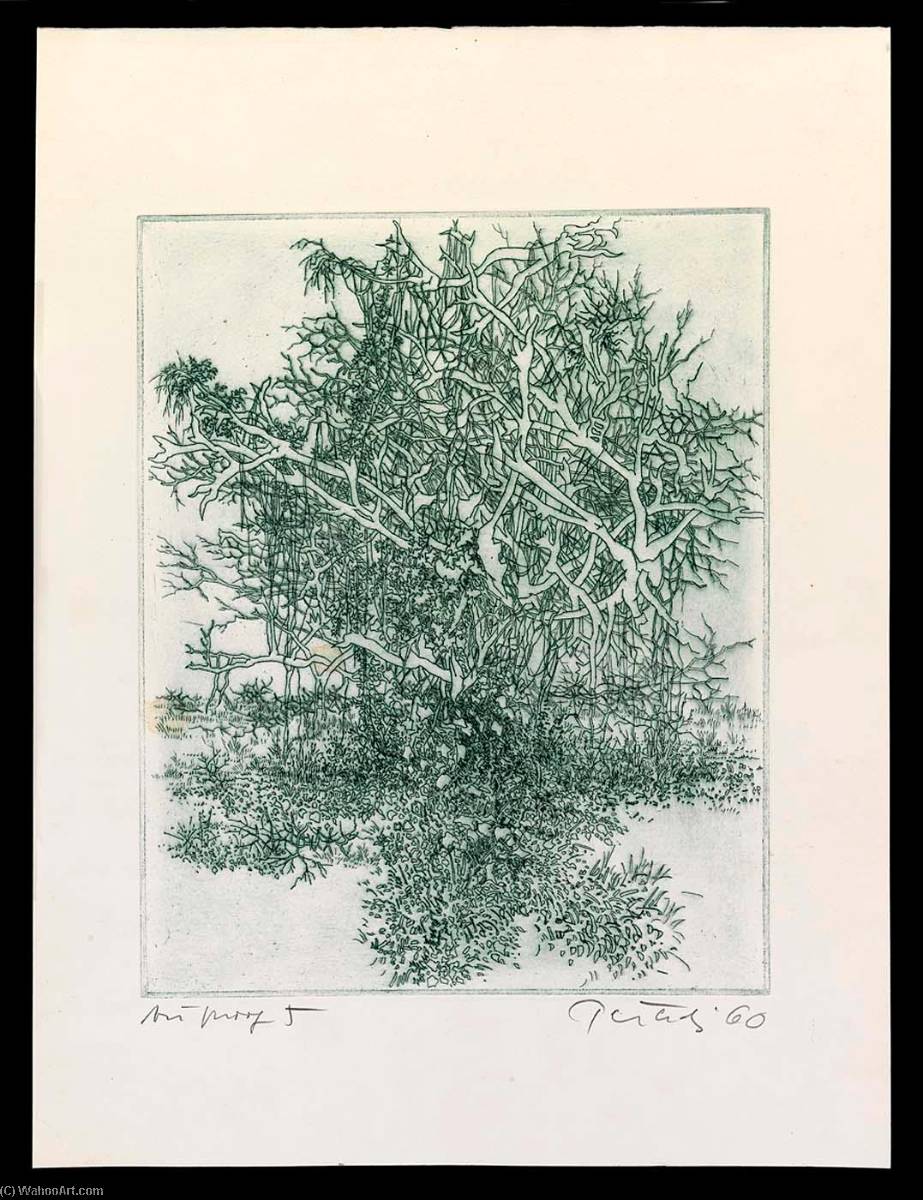 A Universe, State 5, From The Portfolio A Genesis — Gabor Peterdi