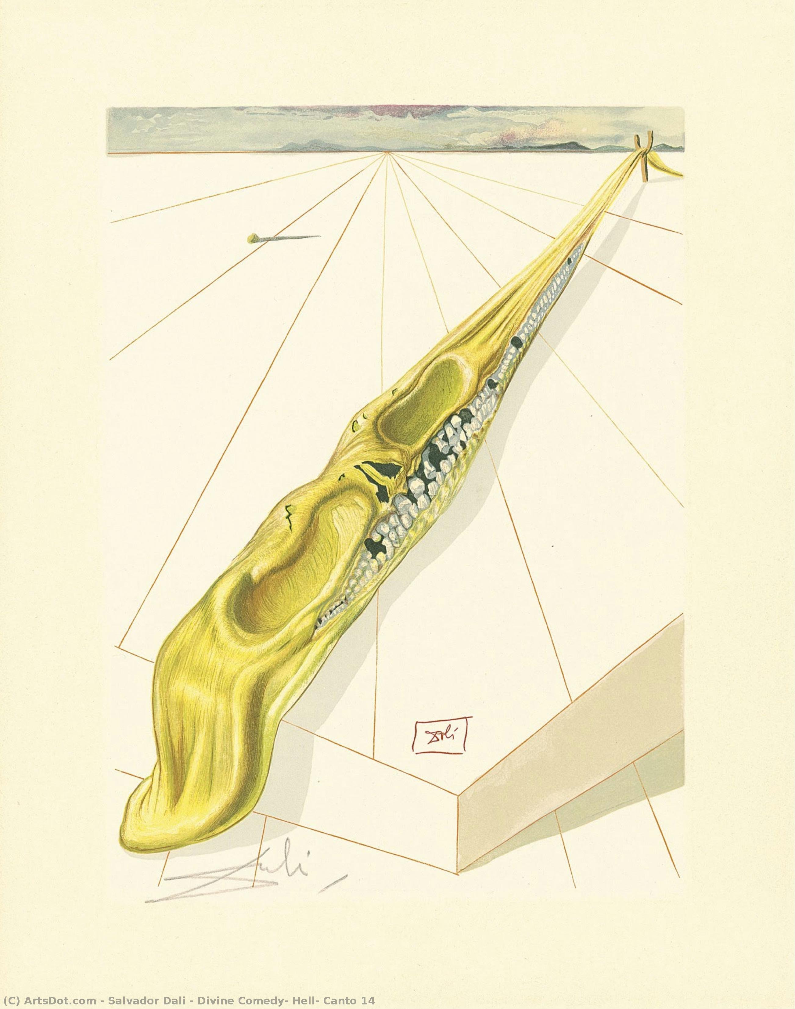 Die Hölle Aus Der Göttlichen Komödie: Cantos 14 — Salvador Dalí