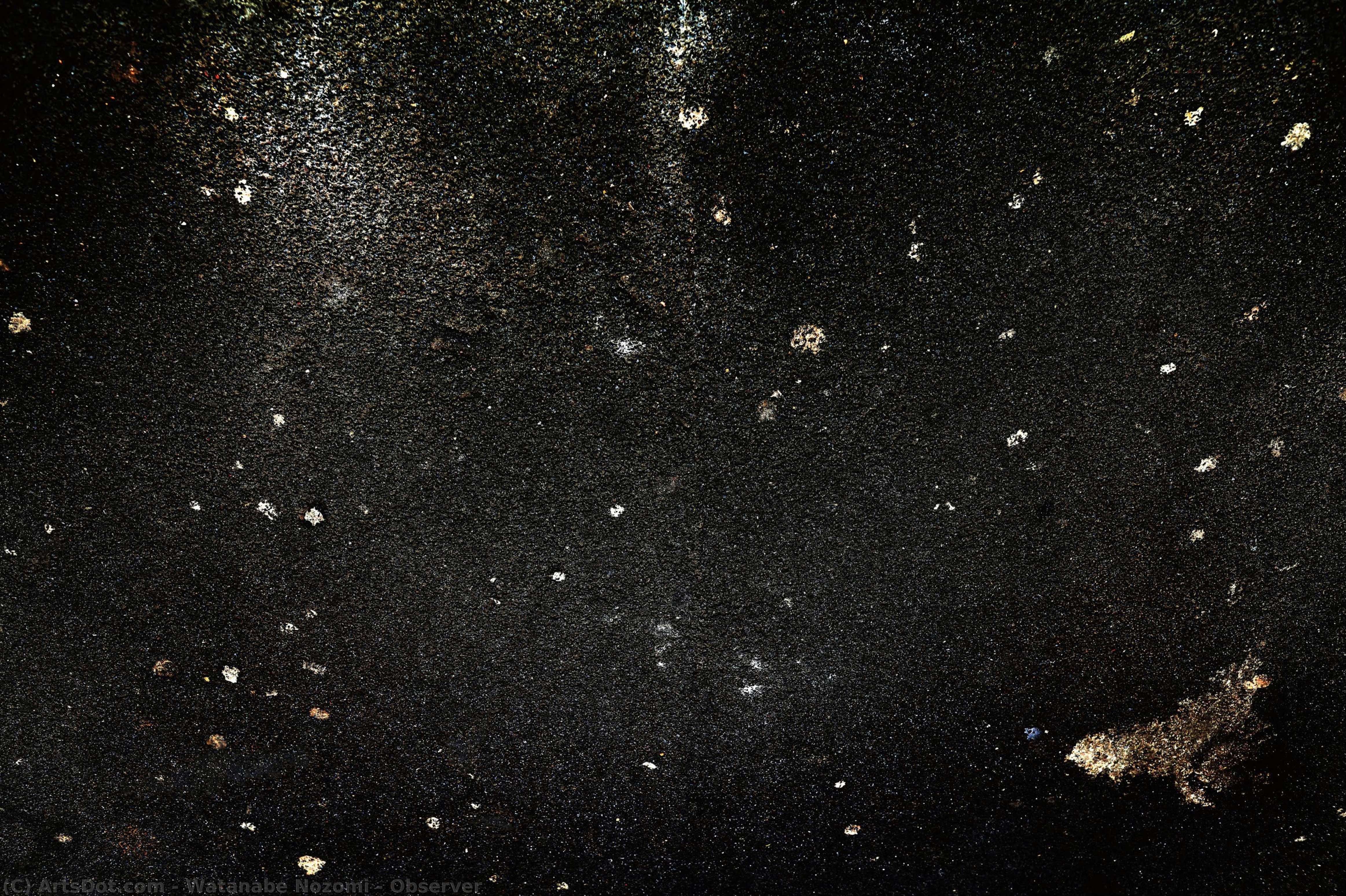 Observer — Watanabe Nozomi