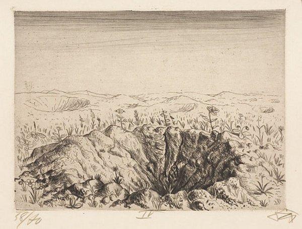 Bomb-crater With Flowers - Spring 1916 — Otto Dix